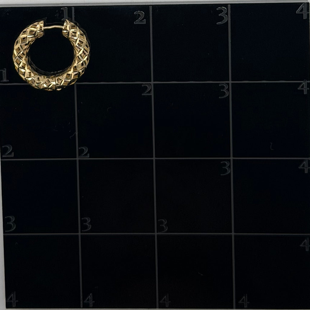 Hoop Earring