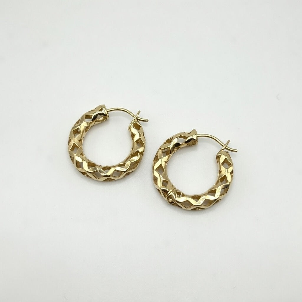 Hoop Earring