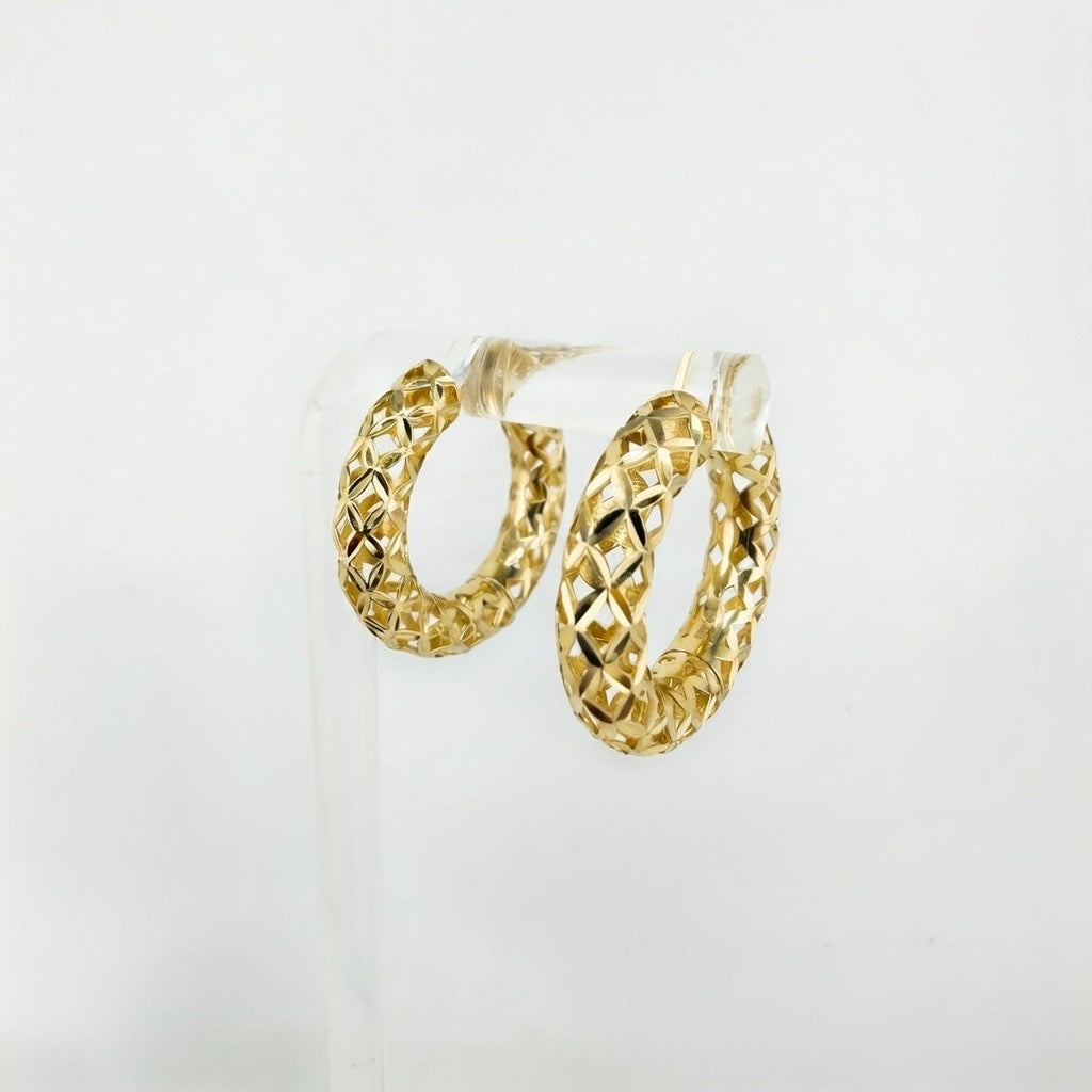 Hoop Earring