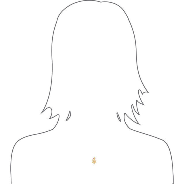 Small Turtle Tortoise Pendant CZ 11mm Tricolor Gold 14k